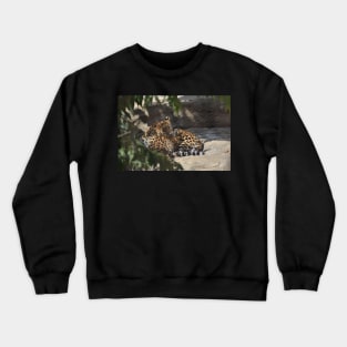 Leopard and Cub Crewneck Sweatshirt